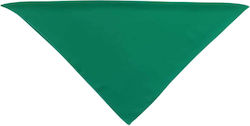 Afoi Giannakopouloi Women's Scarf Green
