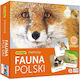 Adamigo Fauna Educational Game Knowledge