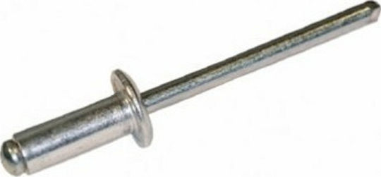 Rivets 3mm x 21mm 50 Pieces