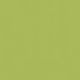 Plastikboden Exclusive 200 27038011 Einfarbig Lime 200x