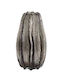 Cosmofan Decorative Vase 14x20cm