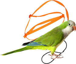 Parrot Body Harness Bright Red Birds Kingdom Xs Parrot Body Harness Bright Red Birds Kingdom Xs