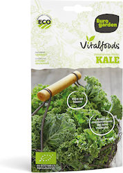 Σαλάτα Kale 3gr Σπόροι Vitalfoods