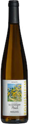 Riesling 2022 Domaine Schneider Paul 750 Ml Riesling 2022 Domaine Schneider Paul 750 Ml