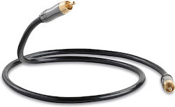 QED Performance Subwoofer RCA Мъжки - RCA Мъжки 6м