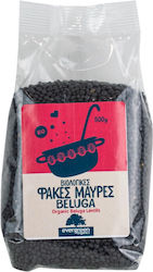 Evergreen Organics Schwarze Beluga Linsen 500g 58011 Evergreen Organics Schwarze Beluga Linsen 500g 58011