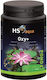 Combaterea Algelor Hs Aqua Pond Oxyplus 1000 G 20.000 L