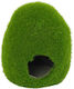 Φωλια Γαριδων Ψαριων Blue Belle Pacific Mossy H...