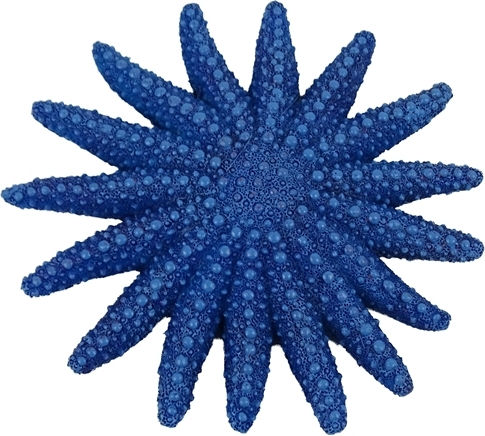 Διακοσμητικο Ενυδρειου Blue Belle Pacific Star Fish Fun Color Blue 9 Cm