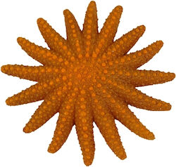 Διακοσμητικο Ενυδρειου Blue Belle Pacific Star Fish Fun Color Orange 9 Cm Διακοσμητικο Ενυδρειου Blue Belle Pacific Star Fish Fun Color Orange 9 Cm