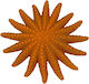 Διακοσμητικο Ενυδρειου Blue Belle Pacific Star Fish Fun Color Orange 9 Cm
