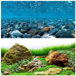 River Rock Sea Green Aquarium Background