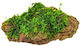 Moss Decor On Stone 12x6x6cm