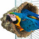 Wooden Log Shelter for Parrots 30cm Length 20-25cm Diameter
