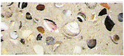 Ursus Photo Cardboard 50x70 Shells