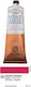 Ferrario Oil Colour 16 Magenta 60ml