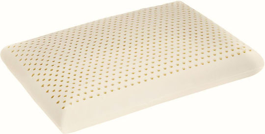 JGS S.A. Latex 60x40x13cm