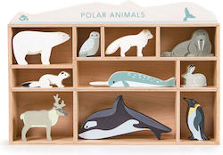 Tender Leaf Regal 10 Polare Tiere