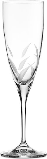 Set of 6 Crystal Glasses Kate 141 Capolavoro Champagne