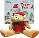 Δημιούργησε Δικό Σου Diy Αρκουδάκι-teddy Bear-grafix-25εκ