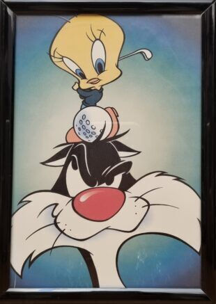 Kinder Bilderrahmen Tweety & Sylvester 13cm x 18cm Wb1318po99no
