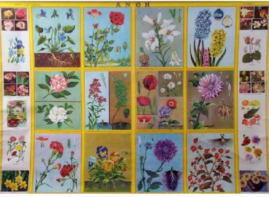 Karte Blumen Griechenland Kinderposter Panódetos 100x140 cm