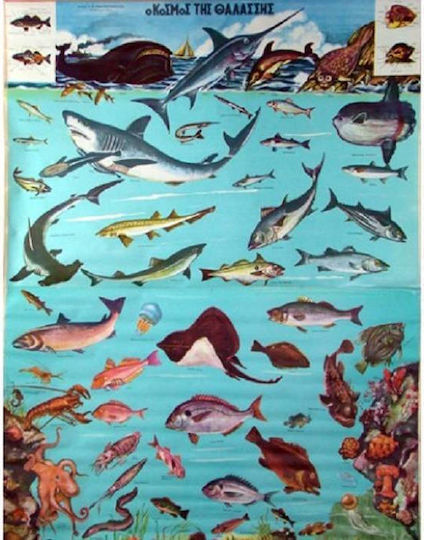 Χάρτης Ψάρια Θαλασσών Πανόδετος 100x140 Cm