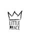 Αφίσες Poster Little Prince Χαρτί 15x20cm