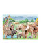 Zoo Poster Paper 20x15cm