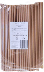 Natural Kraft Paper Straws 200x6mm 100 Pieces