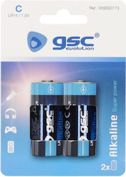 GSC Game World C 1.5V 2τμχ GSC Game World C 1.5V 2τμχ