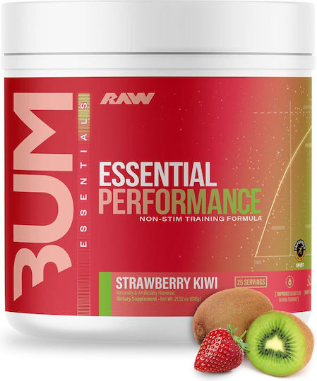 Raw Essential Performance Supplement Pre-Workout 618gr Erdbeer-Kiwi