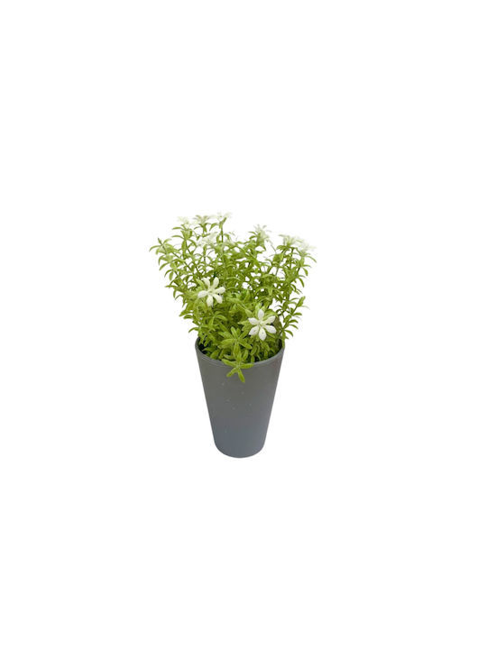 Artificial Plant Ibergarden Dimensions 12x12x23cm Grey Pot White Flowers