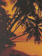 Tapet De Perete Sunset In South Seas 183x254cm
