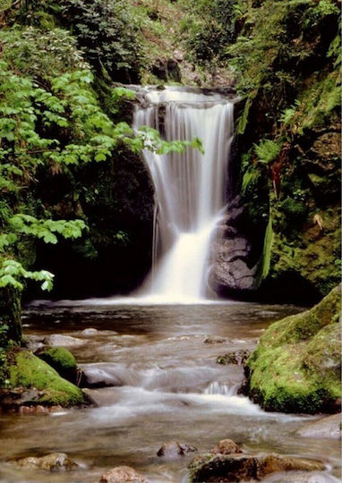 Ταπετσαρία Τοίχου Romantic Waterfall 183x254εκ
