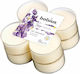 Bolsius Tealights with Lavender and Chamomile Scent in White Colour (Up to 8 Hours Duration) 8 Pieces