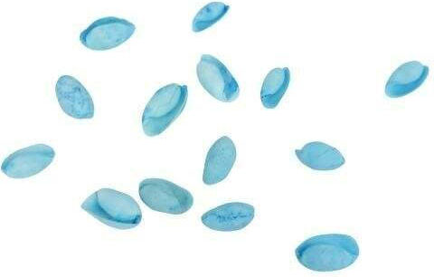 Decorative Seashells Hintatina Nature 1kg Blue