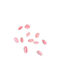 Decorative Seashells Hintatina Nature 1kg Pink