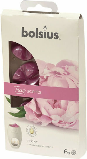 Ceară Topită 6 Bucăți Bolsius Peony Παιώνια