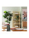 Bookcase Ecoshadow Rattan Bamboo Natural 33x67xh170cm