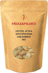 MPACHARADIKO 