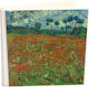 My Album Paparounes Album with Rice Paper 30x30cm Album Box 80 Pages