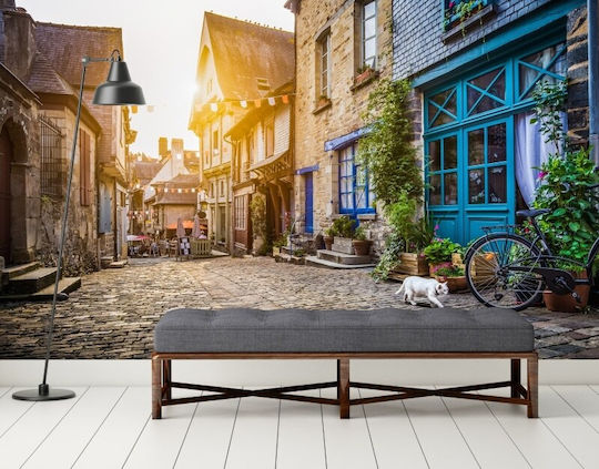 Photo Wallpaper Wall Old Town Self-Adhesive Vinyl 250x270cm