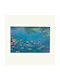 Poster Claude Monet Waterlillies 61x91.5cm Wooden Frame White Acrylic Shatterproof Glass K1041-3 +pp34878