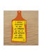 "The Devil Got Married Took A Woman Two Horns He Put Ten More..." Wooden Wall Decor Cut Text 27.5cm*12cm*1cm