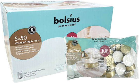 Ρεσώ 50άδα Χρυσό Bolsius Professional 10 Ωρών Λευκό Κιβώτιο 5τμχ