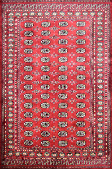 Χειροποίητο Χαλί Buhara Pakistan 213561 248x172 248x172cm