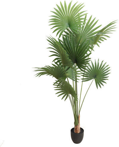 Harmony Plantă Artificială Palmier 180cm