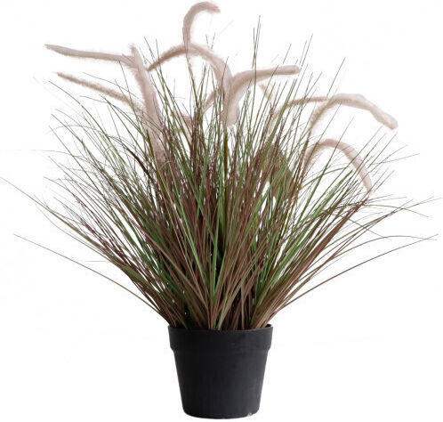 Harmony Plantă Artificială Pennisetum Roșie 70cm