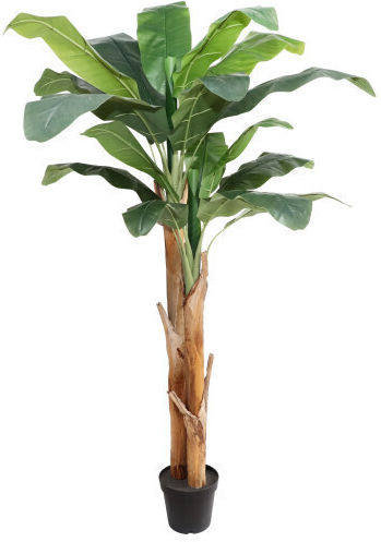 Harmony Künstliche Musa Pflanze 230cm